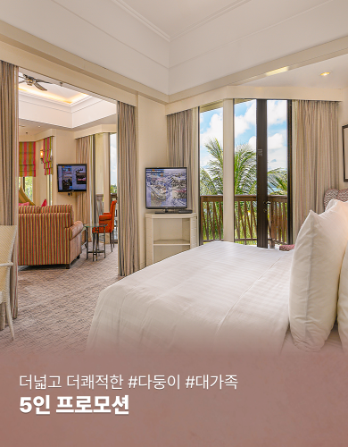 5인 프로모션