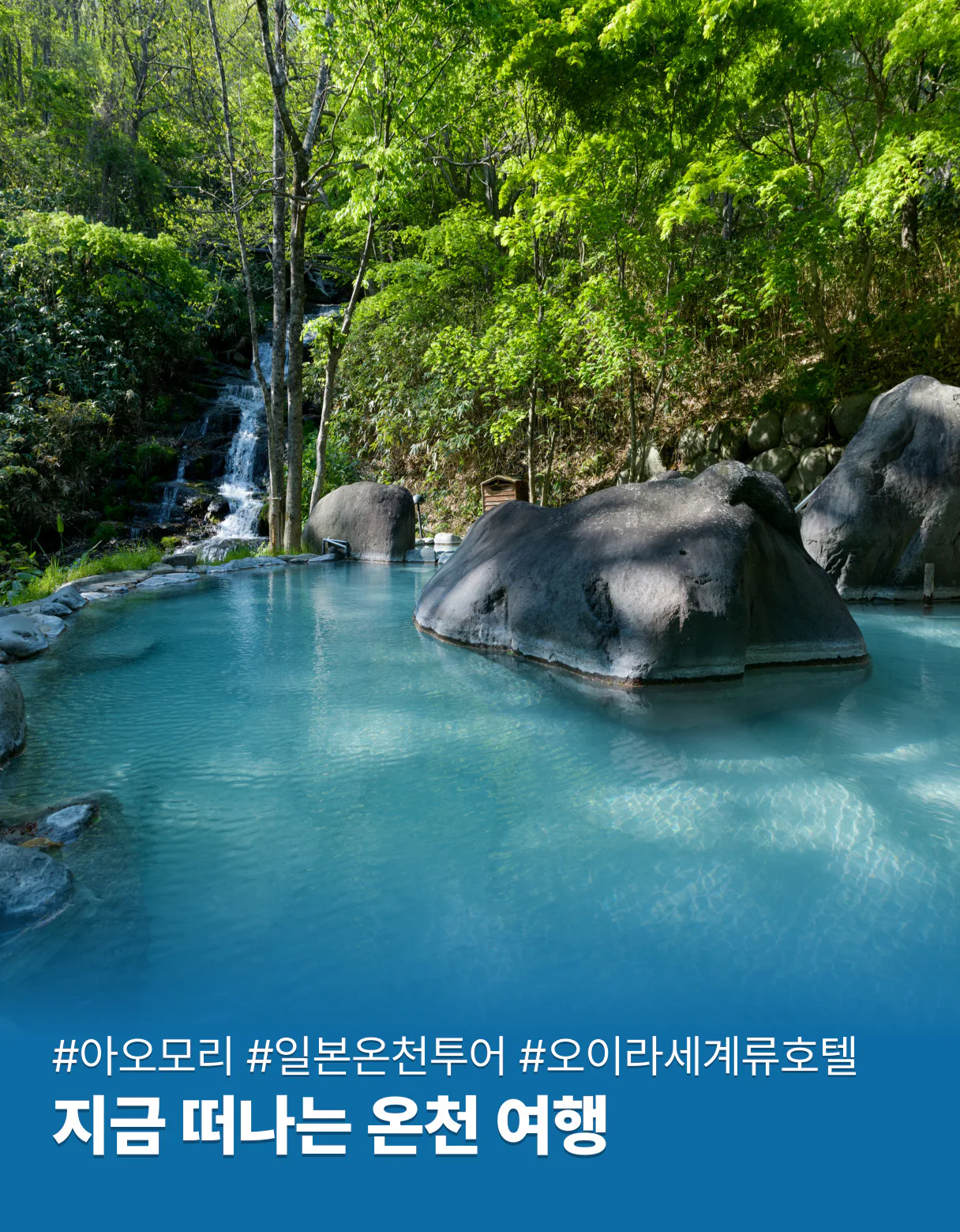 이달의핫딜